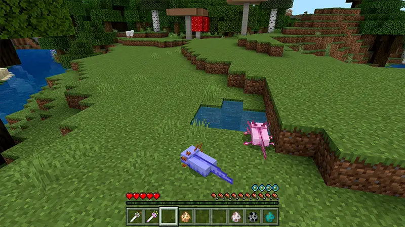 Скриншот ПРЕВРАЩЕНИЕ №3