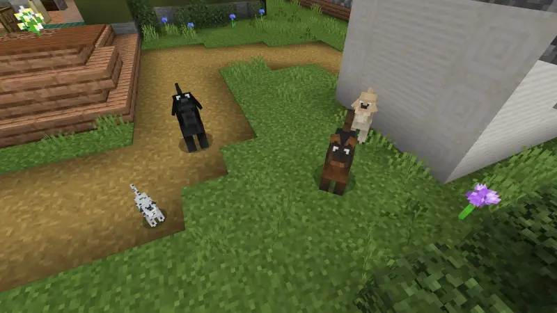 Скриншот Собаки №1