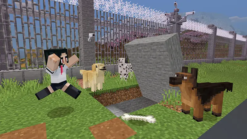 Скриншот Охранный пакет №4