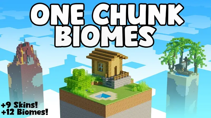 Один чанк биомов