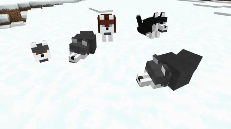 Скриншот Волки Плюс v5.2.2 №8