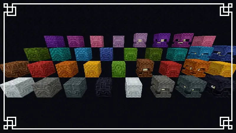 Новый вид шалкеров