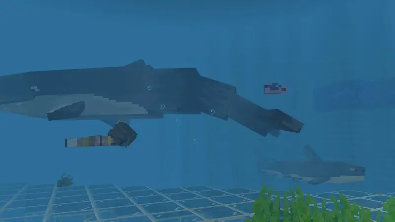 Скриншот Океанские животные №3