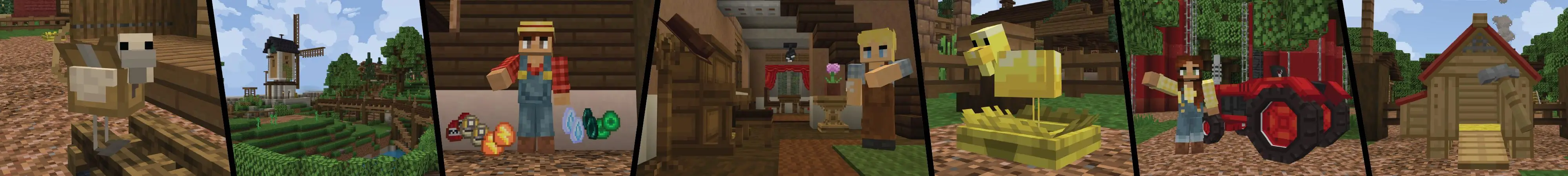 Нужно больше куриц panorama