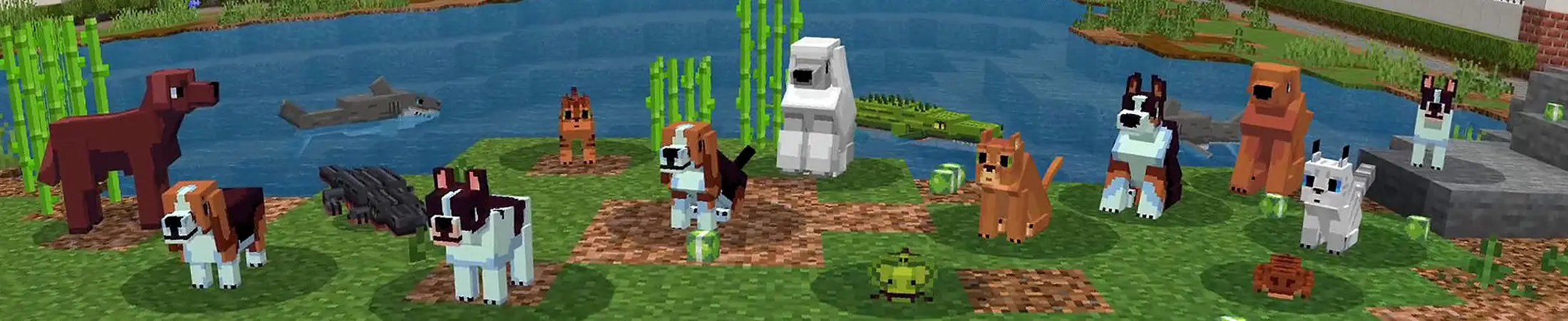 Вилла питомцев panorama