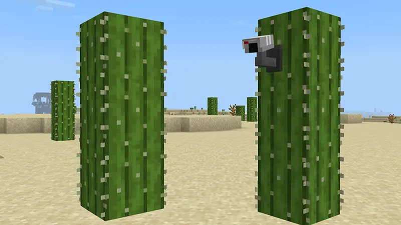 Скриншот Секретная база внутри кактуса №3