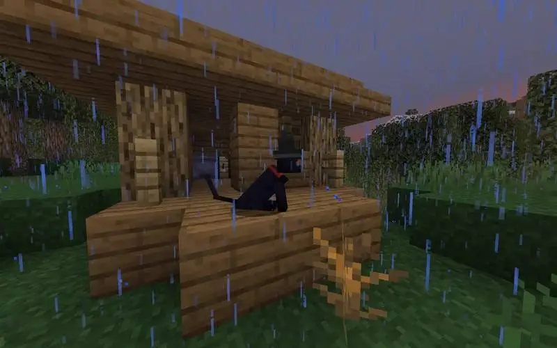 Черный кот в деревянном доме под дождем