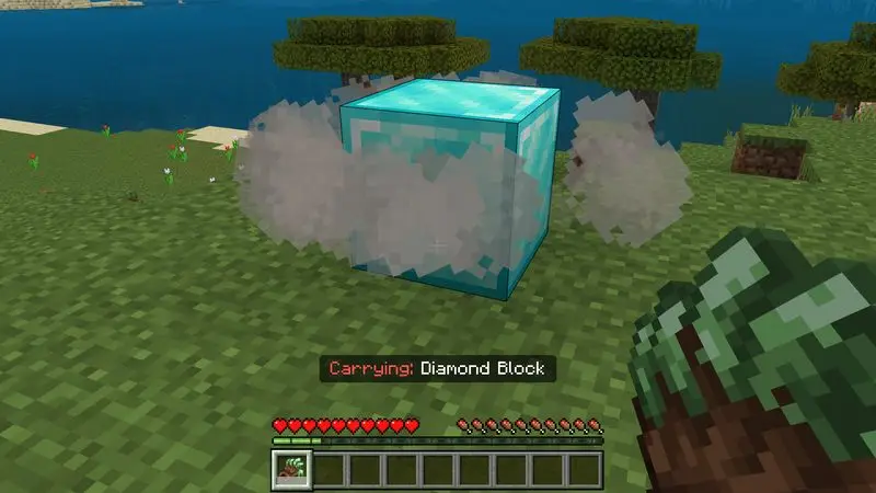 Скриншот Дополнение Carry More №10