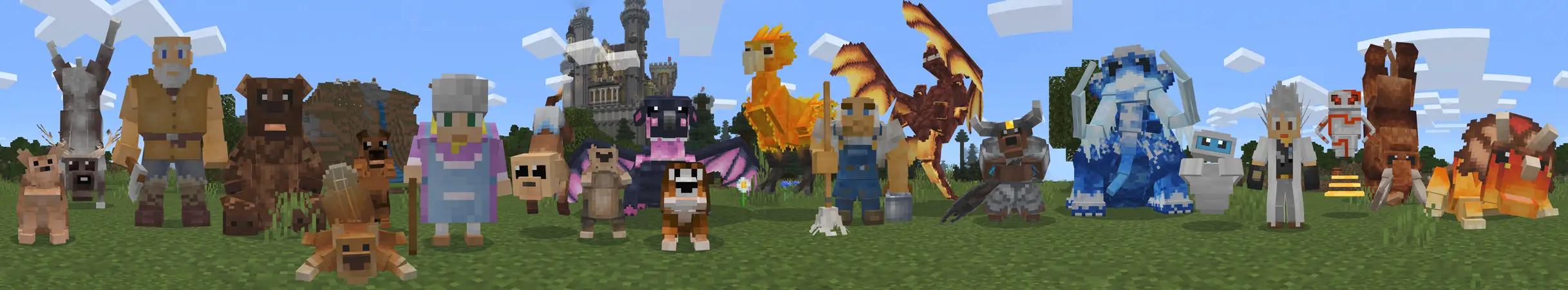 Дрессированные питомцы panorama