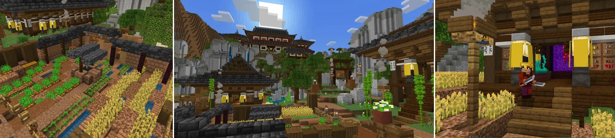 Дом ниндзя panorama