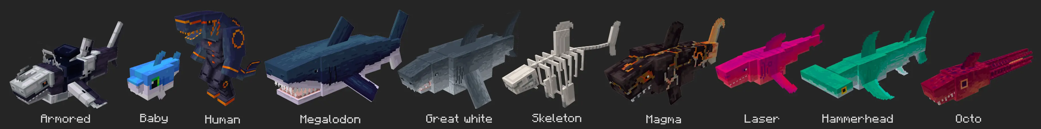 Мир акул panorama