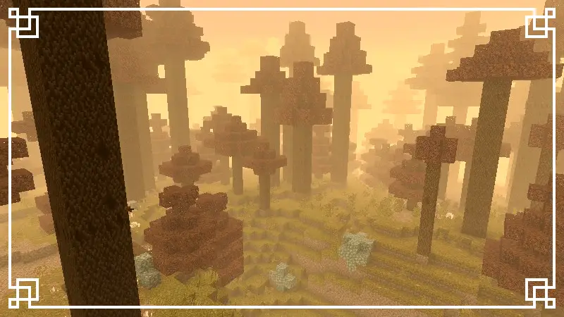 Новый вид тумана в тайге