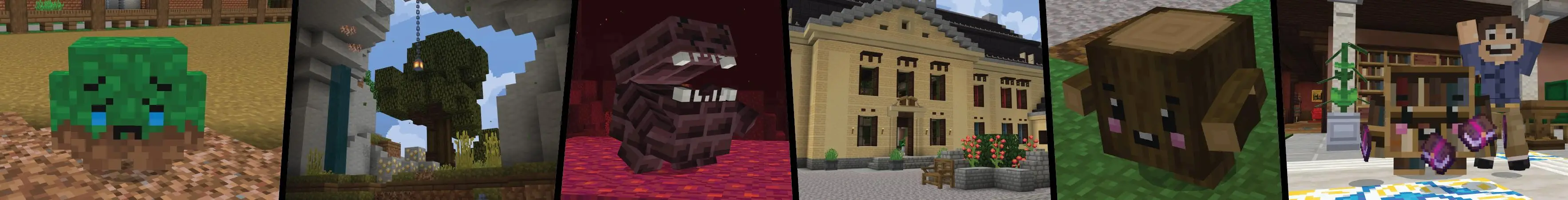 Блоки-питомцы panorama