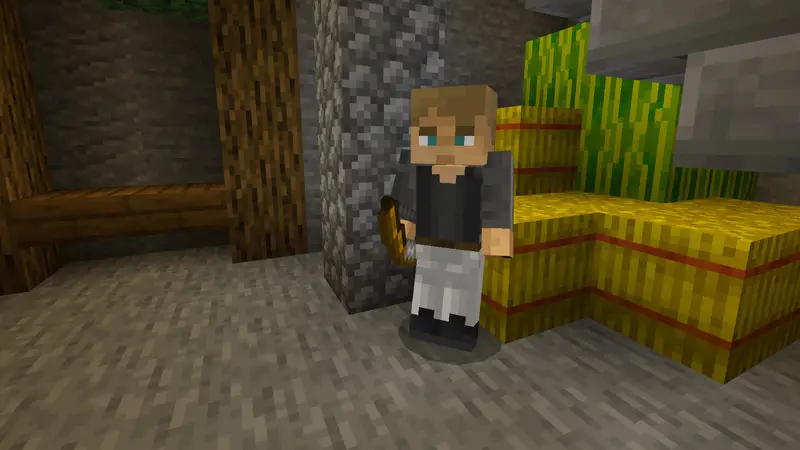 Скриншот СЕКРЕТНЫЕ ПРЯТКИ! №5