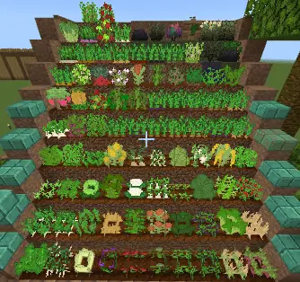 Новые растения