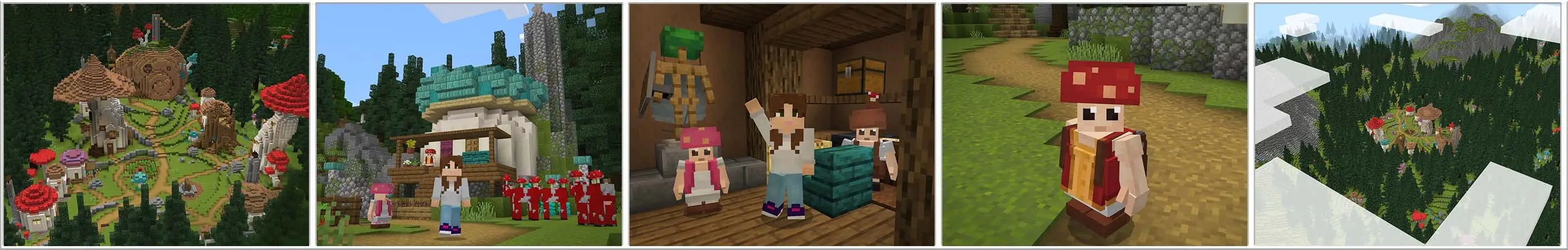 Грибной лес panorama