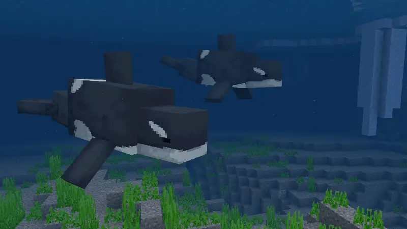 Скриншот Aquatic Life Add-On №1