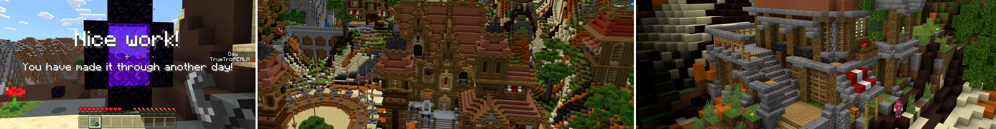 100-дневное испытание panorama