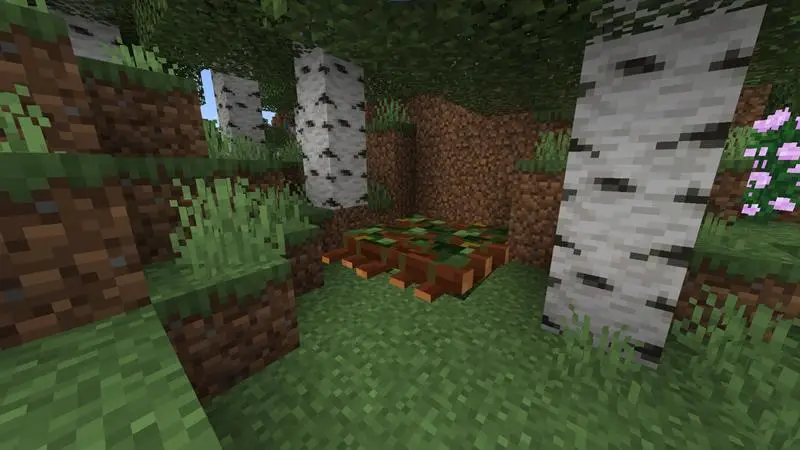 Скриншот Наикрутейшая скрытая база №1