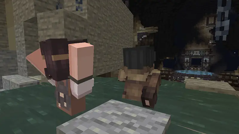 Скриншот Дополнение «Потайные двери» №4