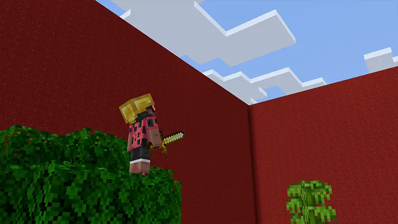 Скриншот СТЕНЫ №3