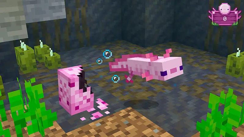 Скриншот Эволюция аксолотлей №1