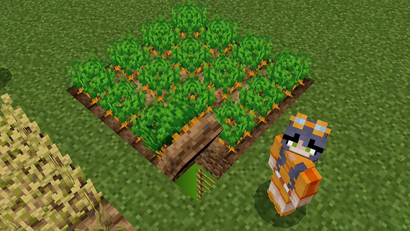 Скриншот СЕКРЕТНАЯ БАЗА-ФЕРМА №2