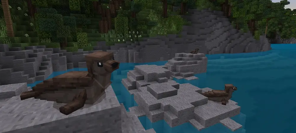 Новая Зеландия (Аотеароа) panorama