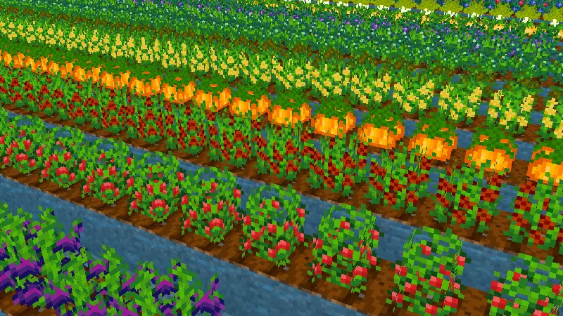 Скриншот Дополнение FOOD №6