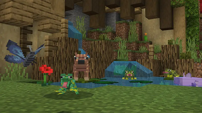 Скриншот ЧОКНУТЫЕ ЖИВОТНЫЕ №10