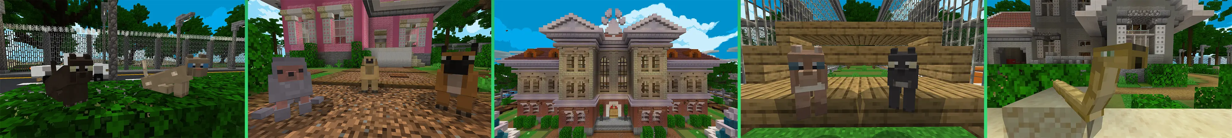 Милые питомцы panorama