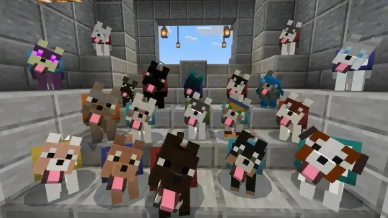 Скриншот Волки Плюс v5.2.2 №1