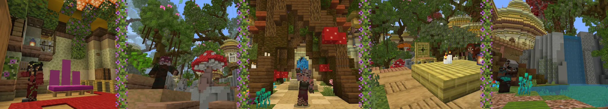 Секретный зачарованный лес panorama