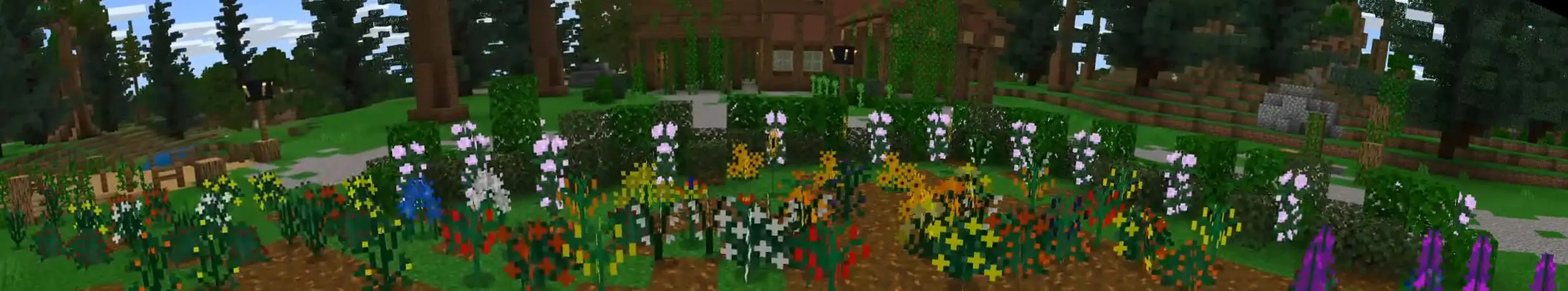 РАСТЕНИЯ! panorama