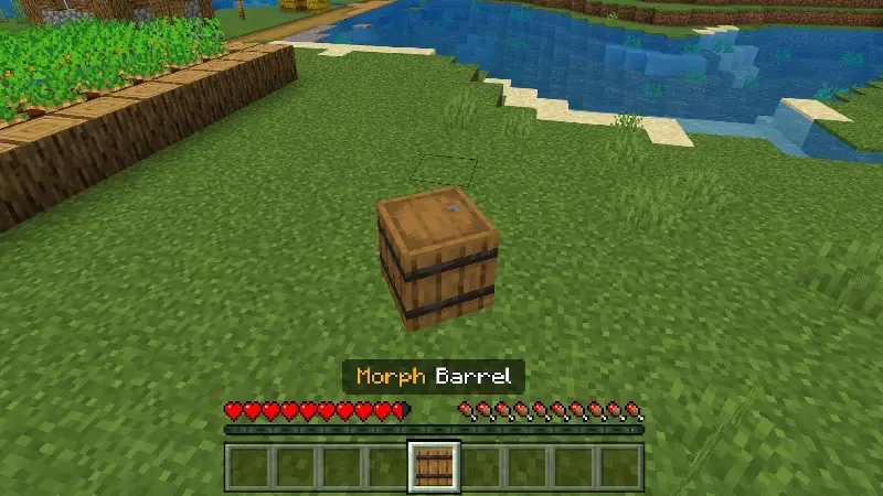 Скриншот ПРЕВРАЩЕНИЕ В БЛОКИ №9