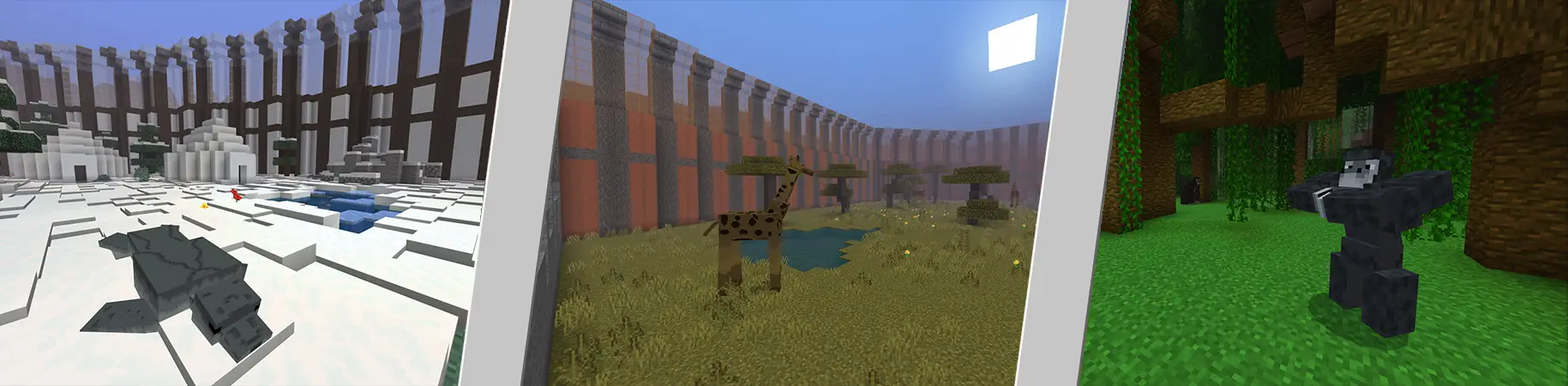 Владелец зоопарка panorama