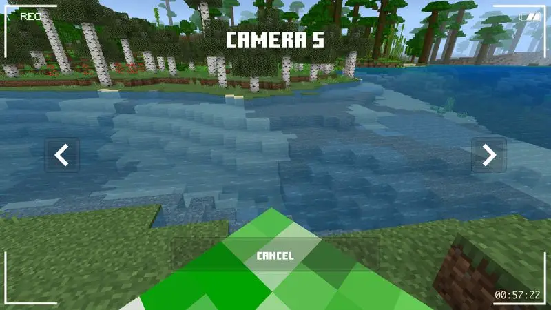 Скриншот Камеры видеонаблюдения №3