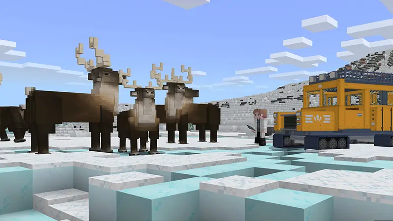 Скриншот Арктические приключения №5