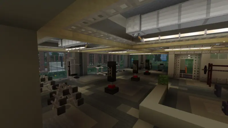 Скриншот Инвентарь тренажерного зала №3