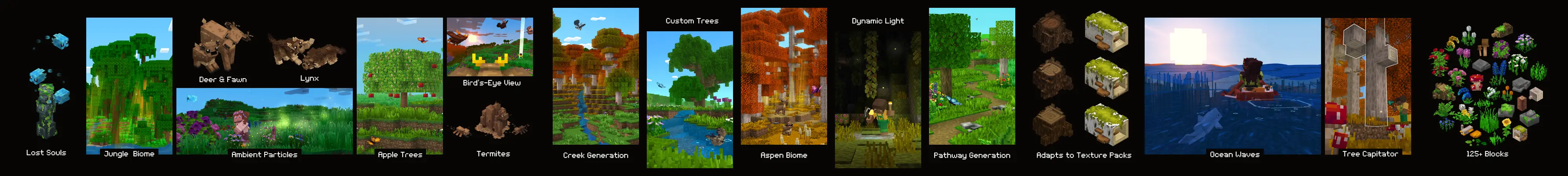 РЕАЛИЗМ 1.1 \ Поля и леса panorama