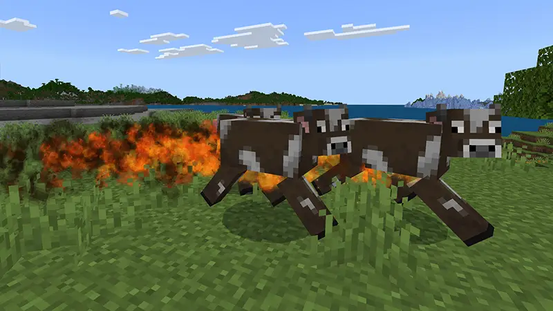 Скриншот PLAYER TRAILS №4