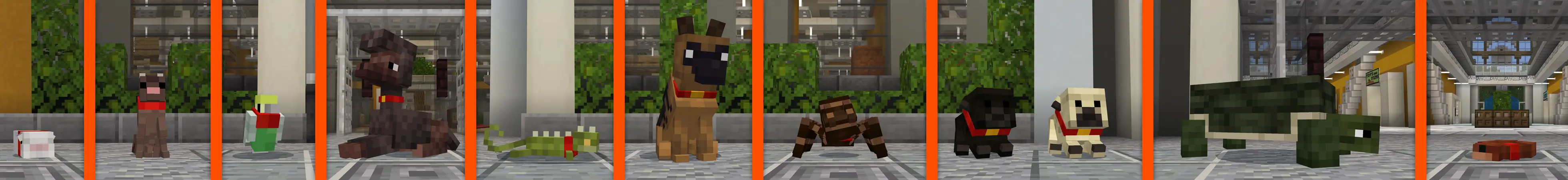 Магазин питомцев panorama