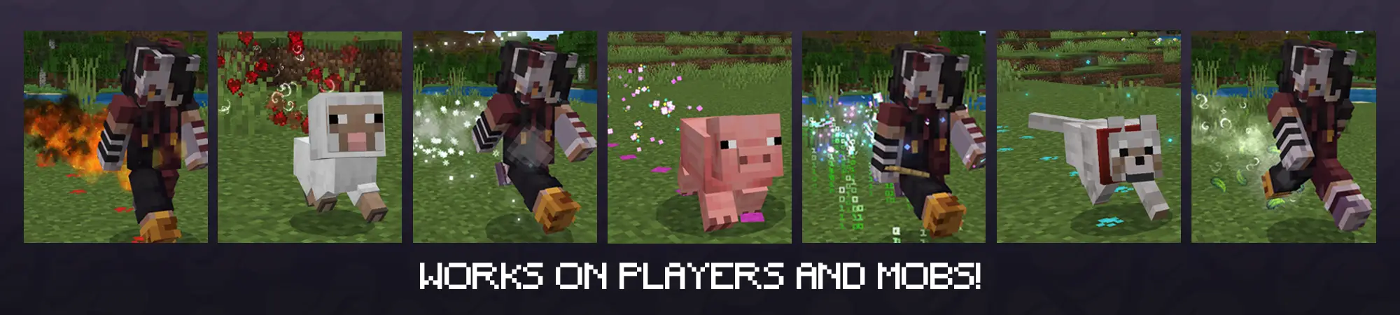 PLAYER TRAILS panorama