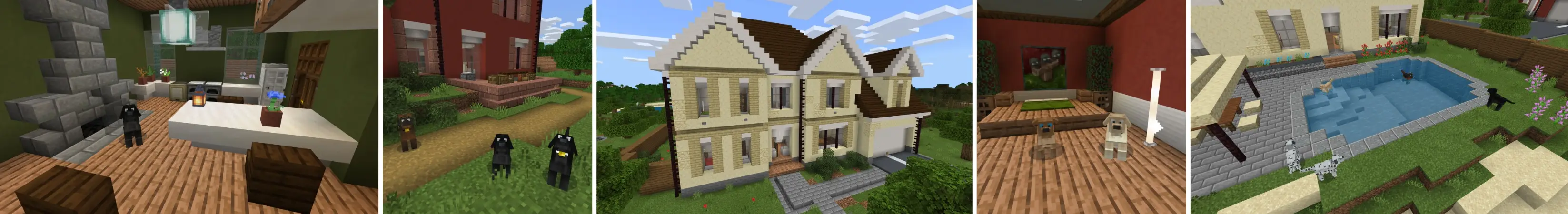 Собаки panorama