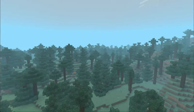 Голубое небо над еловым лесом