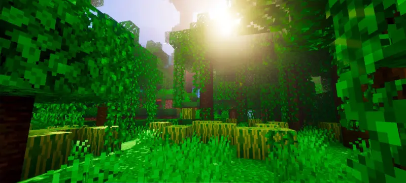 Яркий свет в джунглях и детализированные тени