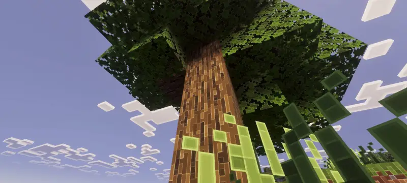 Новый вид дерева