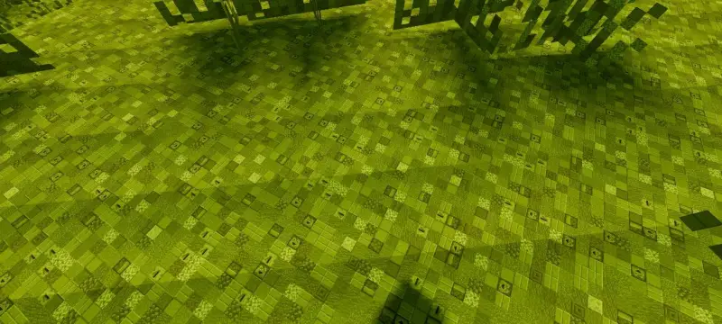 Новый вид травы