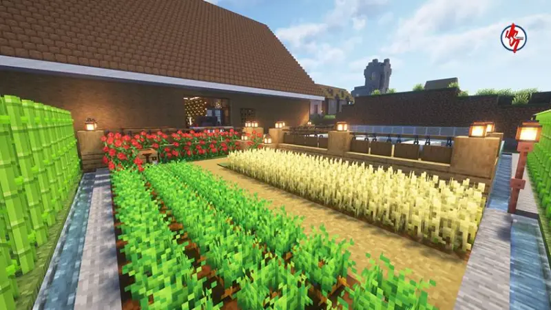 Уютный огород возле дома