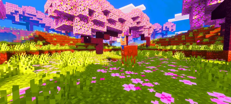 Новый вид вишнёвого леса